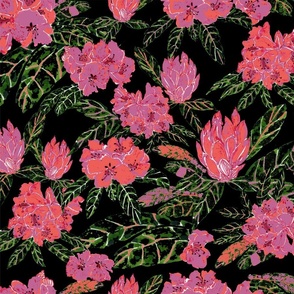 In-bloom-Rhododendrons-coral-grass-peony-on-black