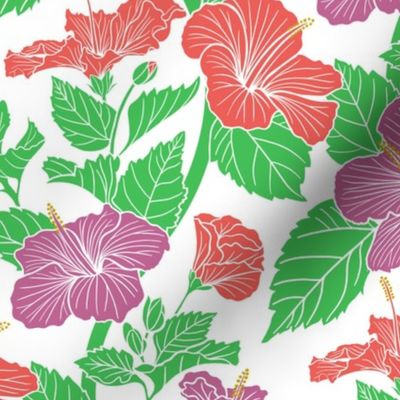 Hibiscus Tropical Floral Petal Coordinates In Bloom