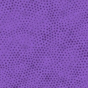 elements-dots-purple-A-14-12