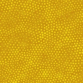 elements-dots-yellow-B-14-12