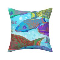 jumbo-Parrotfish School-light blue background