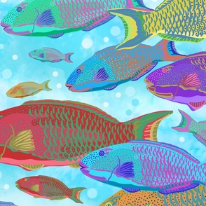 jumbo-Parrotfish School-light blue background