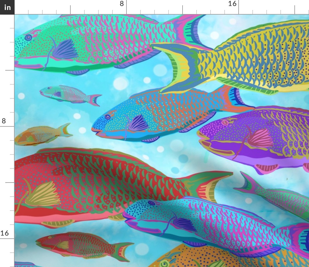 jumbo-Parrotfish School-light blue background