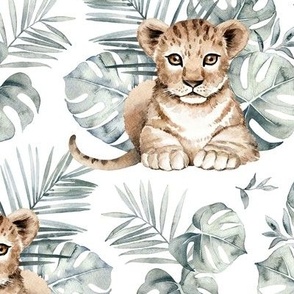 Large Scale / Baby Lion / White Background