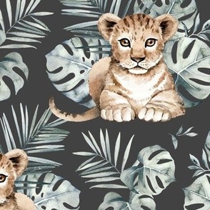 Large Scale / Baby Lion / Dark Grey Background