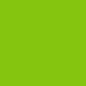 Solid parrot bright green