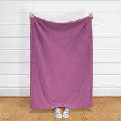 Solid grand fuchsia light purple