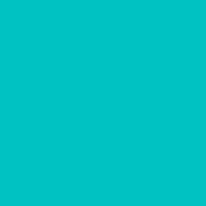 Solid color robins egg blue turquoise