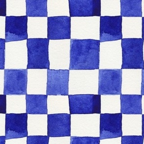 Blue Checkers Smaller