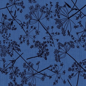 Field of Queen Anns Lace blue invert