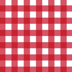 Red and Blue half inch gingham red