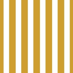 0,66´´ Mustard stripes on white