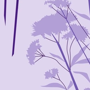 eupatorium - lilac - extra large