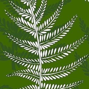 fern leaves on green - large scale