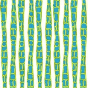 Blue and green stripe / 60's retro / animal print / stripe / white background