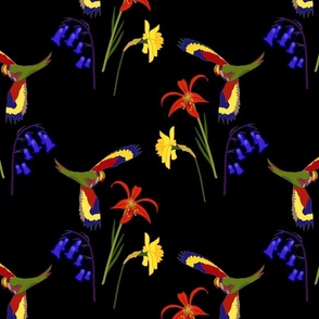 Lorikeet, Soaring into Spring #1 - black, medium 