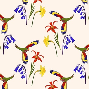 Lorikeet, Soaring into Spring #1 - cream beige, medium 