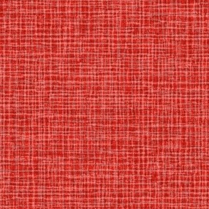 Solid Red Plain Red Natural Texture Small Stripes and Checks Grunge Poppy Red Bright Red BD2920 Dynamic Modern Abstract Geometric