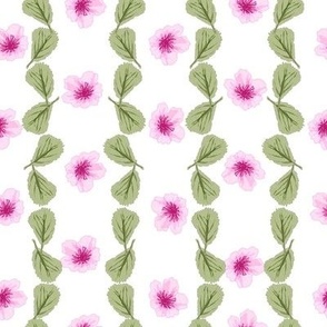 Cherry Blossoms-Stripes of blossoms in tones of pink and soft green leaves on a white background. 