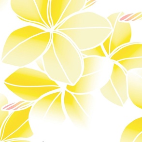 Double-faded yellow Plumeria-line drawing