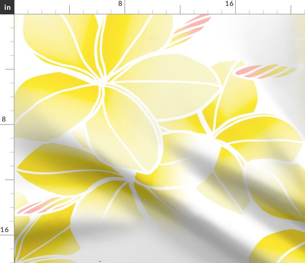 Double-faded yellow Plumeria-line drawing