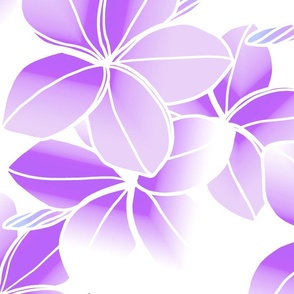Double-faded violet Plumeria-line drawing