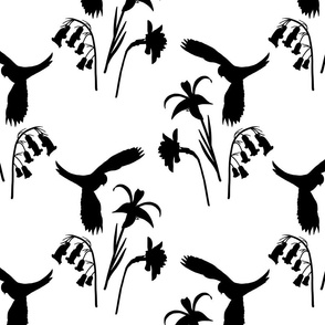 Lorikeet, Soaring into Spring #1 - black silhouettes on white, medium 