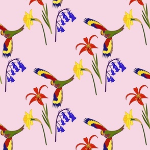 Lorikeet, Soaring into Spring #2 (rows) - cotton candy pink, medium 