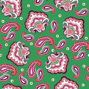 modern paisley pattern