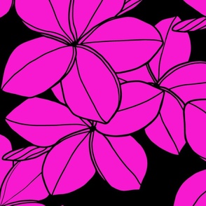 jumbo-Plumeria-fuscia