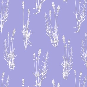 Lavender on lilac - large