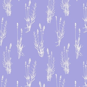 Lavender on lilac - medium