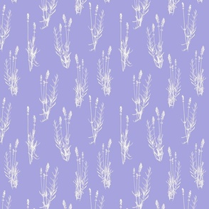 Lavender on lilac - small