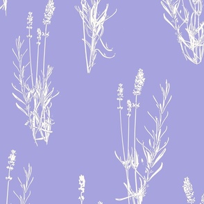 Lavender on lilac - xl