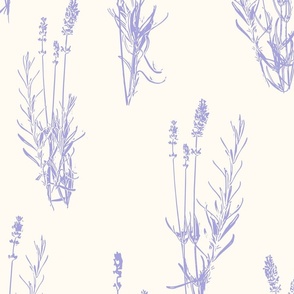 Lavender on white - xl