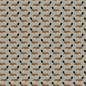 Little pixie dogs adorable dachshund puppies scandinavian style gray beige neutral boys SMALL