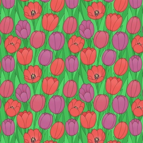 tulips line drawing floral on spring green