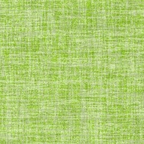 Solid Green Plain Green Natural Texture Celebrate Color Lime Green Yellow AED43D Dynamic Modern Abstract Geometric