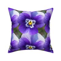 Extra large scale painterly floral purple pansies