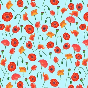 Red and Orange Poppies - Light Blue