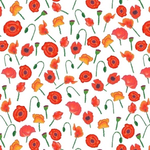 Red and Orange Poppies - White