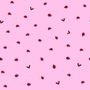 Red ladybugs on pink