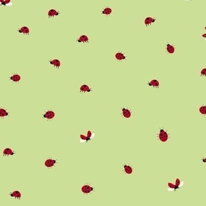 Red ladybugs on green