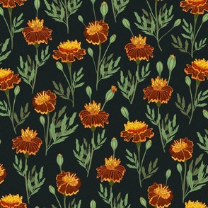 Marigolds on dark green
