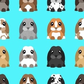 Mini Lop Pattern