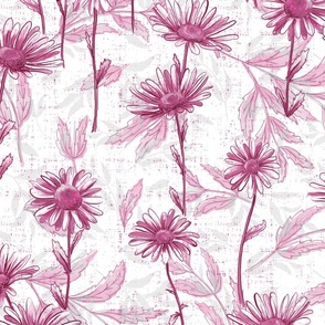 cottage daisies in peony pink and gray