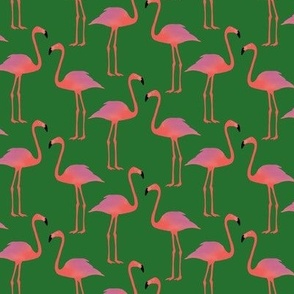 Flamingos-small scale
