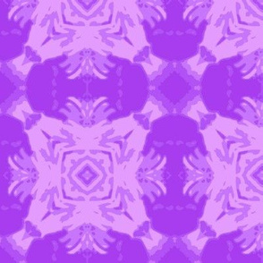 crop_aster_45_purple_Picnik_collage-ch
