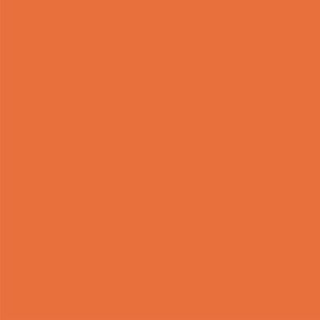 Burnt orange-nanditasingh