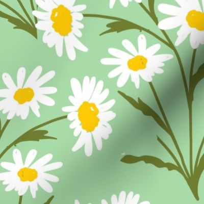 Spring Daisies